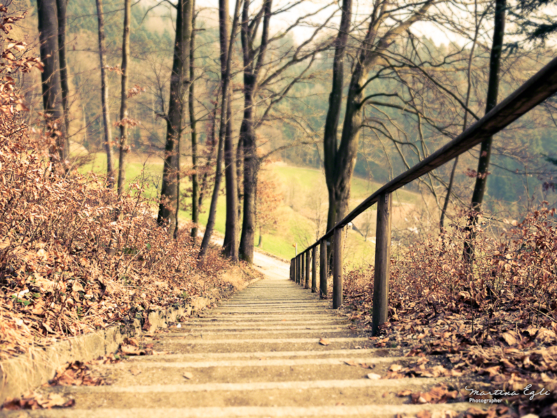 The view from atop a flight of outdoor stairs