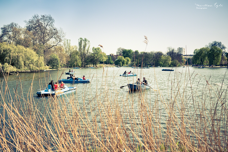 Boats on a lake at Regents Park, London.