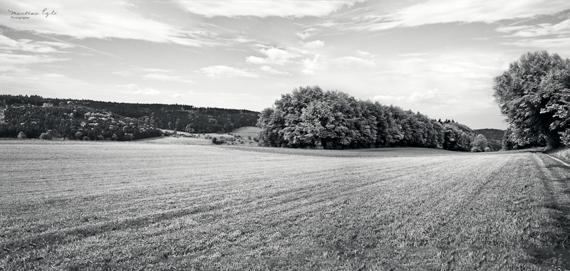 A Black and white panorama of an expansive field.