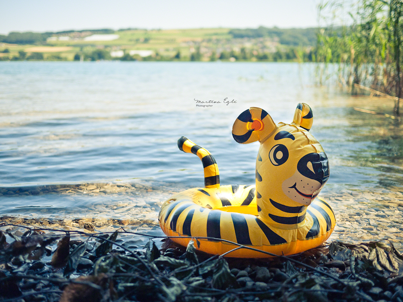 a rubber inflatable lands on the shores of a lake in Switzerland.