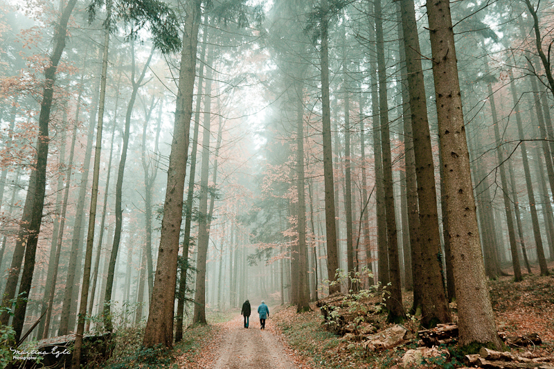 Two walkers in a misty autumn forest.