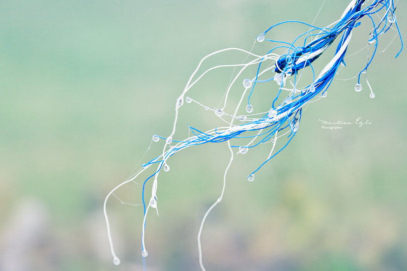 Water droplets on a frayed cord.