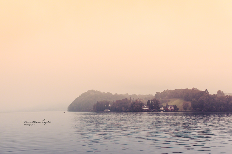 A shore covered with trees and a few buildings in early morning light.