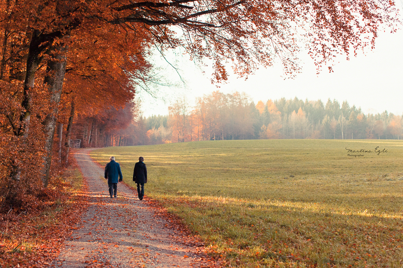 Two walkers on a path along a forest in autumn.