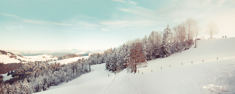 A view of a snowy landscape in Switzerland.